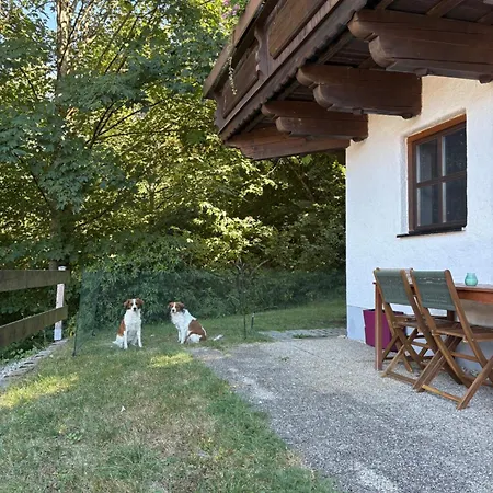 Apartman Wauzenberg Mit Pool Und Sauna *